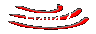 Etapa 2