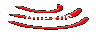 Anexos